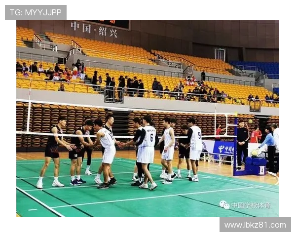 成都排球队的默契配合与战术分析探讨排球运动的魅力与团队精神